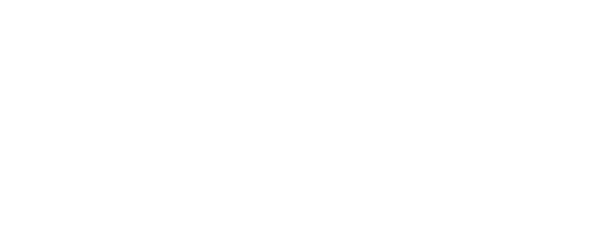 logo-2